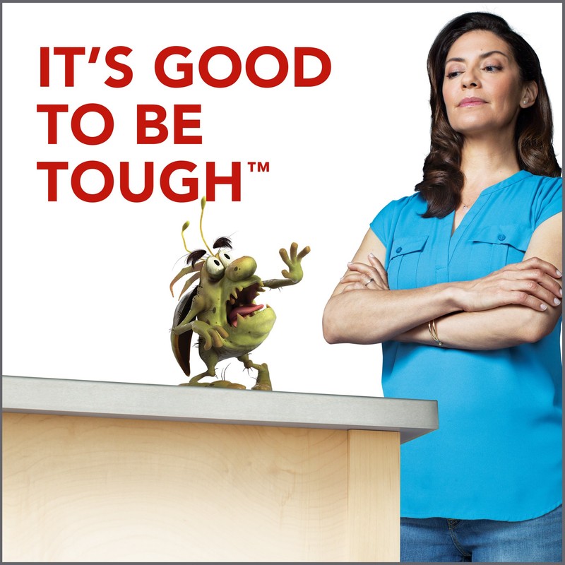 Raid Ant & Roach Killer Spray For Listed Bugs, Keeps