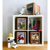 Romany House Two Pack Comic Book Storage Boxes & Acrylic