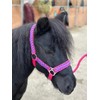POLKA DOT HEADCOLLAR WITH LEAD ROPE FULL-MINI SHETLAND (Raspberry, Pony)