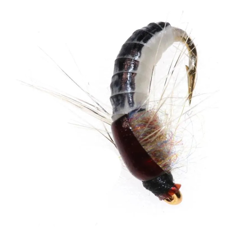 6 Unidades De Mosca Realista Nymph Scud Para Pesca Artificia