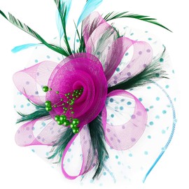 DRESHOW Fascinators Hat Flower Mesh Ribbons Feathers on a Headband and a Clip Tea Party Headwear for Girls and Women