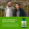 Swanson Full Spectrum Schizandra Berries - Herbal Supplement Promoting Stress