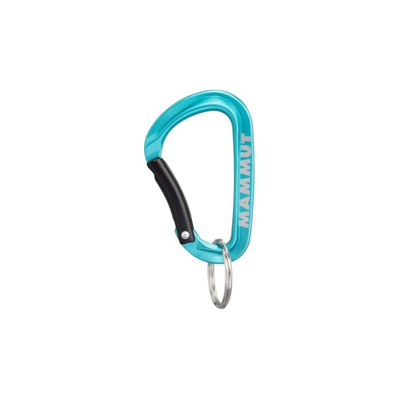 Mammut Mini Carabiner Classic Keylock S, blue