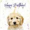 Cockapoo Birthday Card - Party Hat