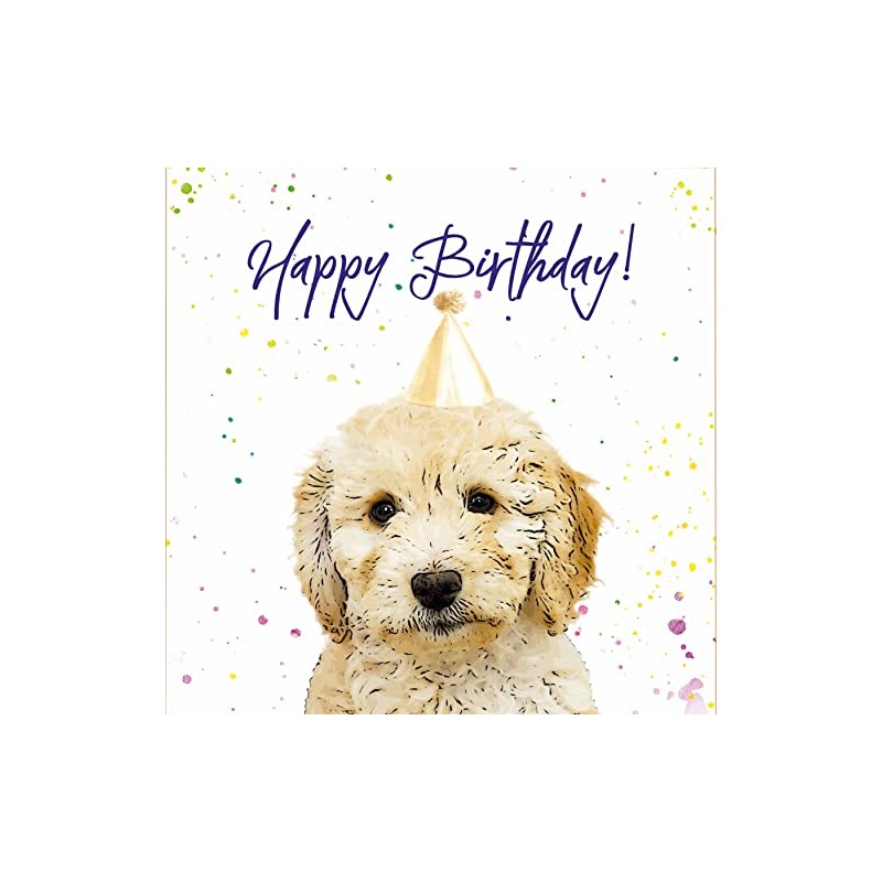 Cockapoo Birthday Card - Party Hat