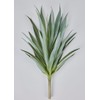 UV Resistant Artificial Indoor/Covered Outdoor Yucca Plant - 27"