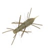 Gekluck Worm Caterpillar 60 #364 Tagame