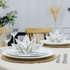 Fanxyware Star Shaped Origami Dinner Napkins with Silver Stars on