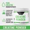 Probase Nutrition Creatine Powder 300 Grams