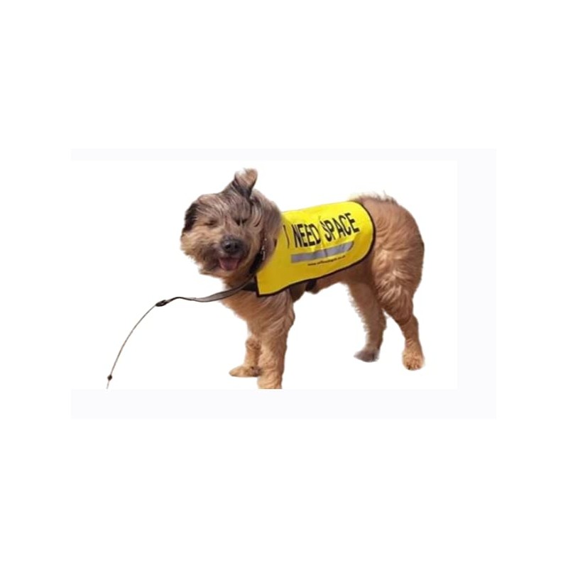 Yellow Dog UK Dog Vest - I NEED SPACE (Small)