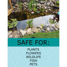 Pondh2o String Algae & Greenwater Goblins Water Treatment, Treats 24000 Gallons | Twin Pack Value 2 Pack, Natural Treatment for Water Garden Koi Fish Ponds Will Not Harm Aquatic Life