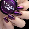 Whats Up Nails - Butterfly Wings Vinyl Stencils for Nail
