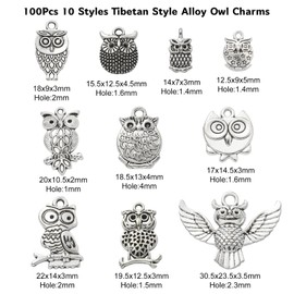 DanLingJewelry 100Pcs 10 Styles Tibetan Owl Charms Antique Silver Animal Charms for DIY Bracelet Necklace Jewelry Making