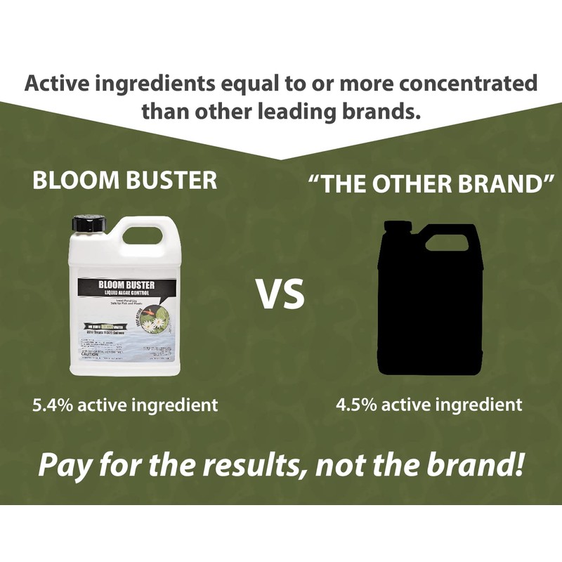 Bloom Buster Algae Control for Fish Ponds & Water Gardens