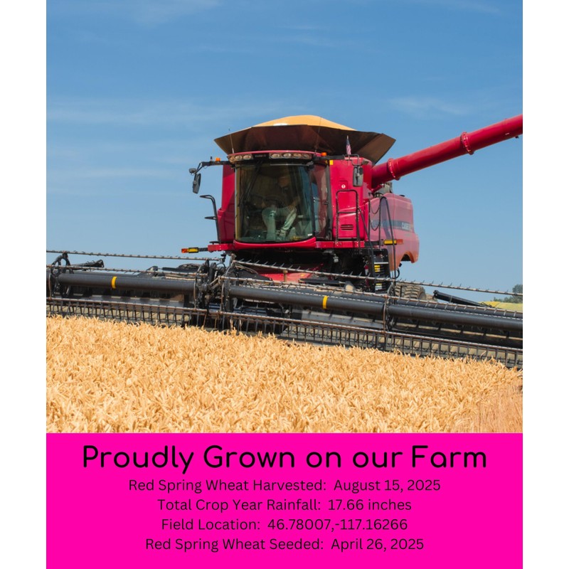 Palouse Brand Certified Glyphosate Residue Free Hard Red Spring Wheat