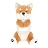 Sun Lemon BE P-8362 Shiba Inu Shiba Inu