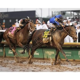 SPORTSPHOTOSUSA Sovereignty 2025 Kentucky Derby Winner Junior Alvarado Up With Journalism 8 x 10 Photo