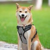 PoyPet No Pull Dog Harness, Reflective Vest Harness with 2