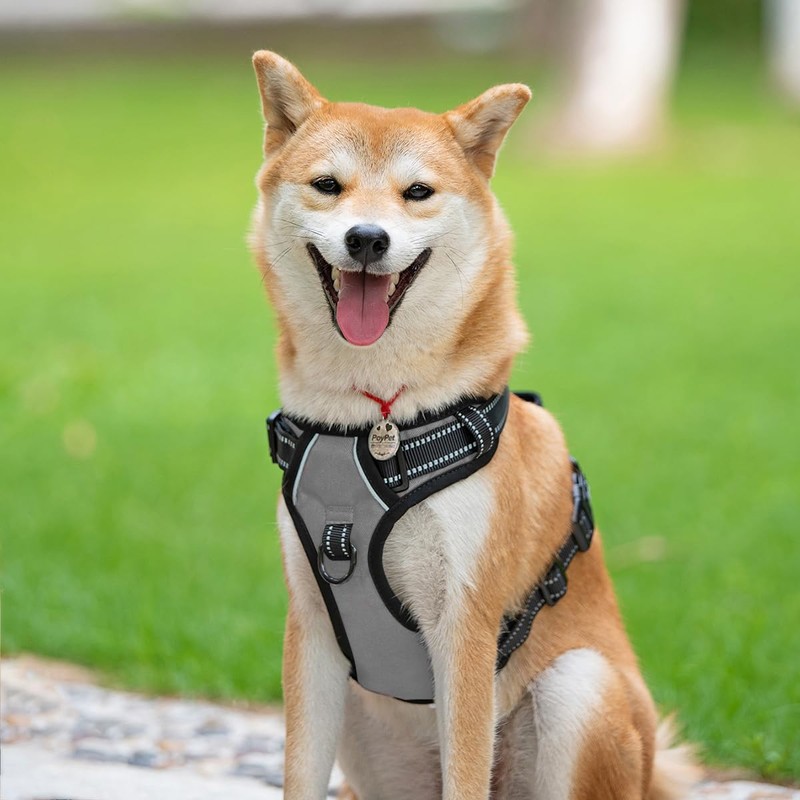 PoyPet No Pull Dog Harness, Reflective Vest Harness with 2