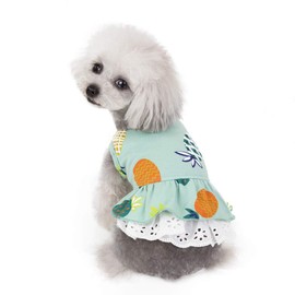 Wolyepor - Vestido de princesa con diseño de dibujos animados para perro, tutú para cachorros (mediano, verde fruta)