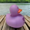 Duck of the Month Cool to be Kind Inspiration Rubber