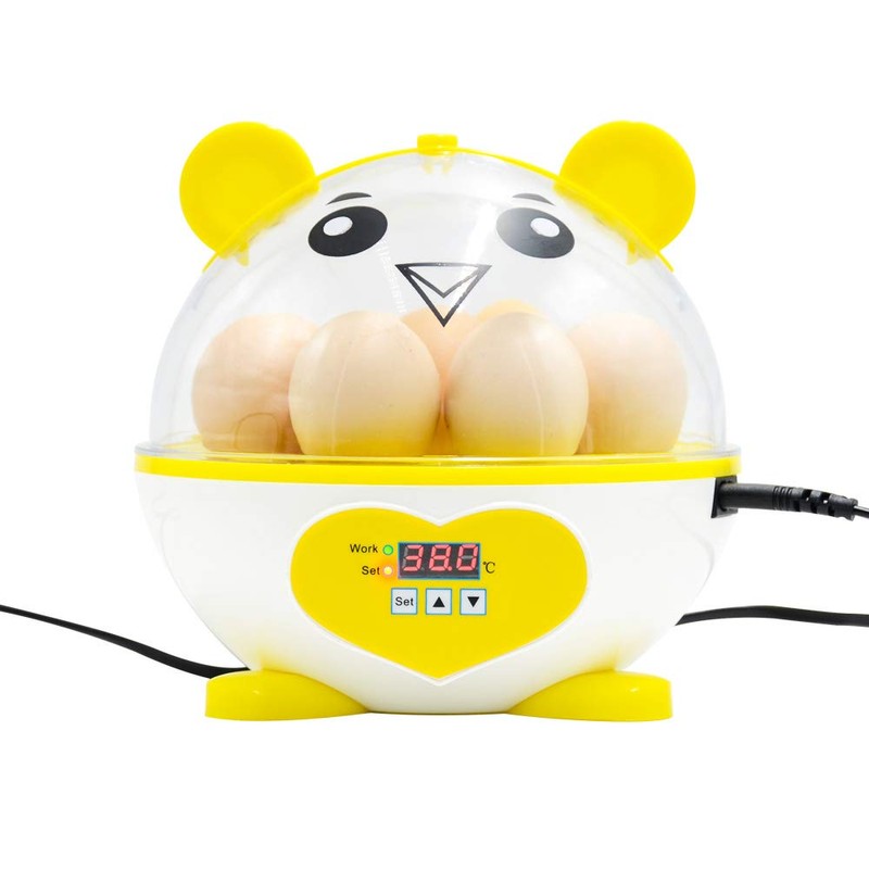 PAIDUOJI Home Use Incubator Automatic Temperature Control Digital Mini Egg
