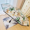XiranYien Butterfly Clear Umbrella Women Elegant Unique Automatic Open Close