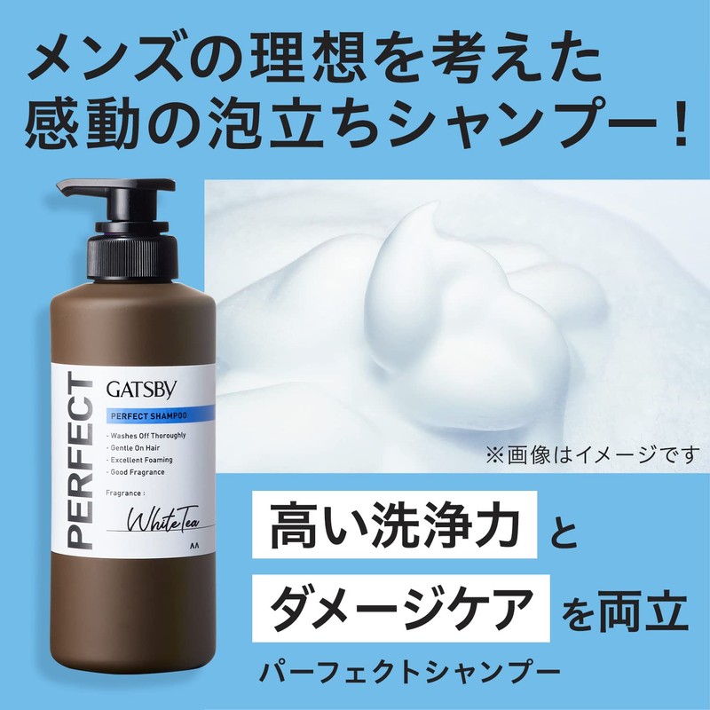 GATSBY Perfect Shampoo, Men's Scalp Care, Damage Care