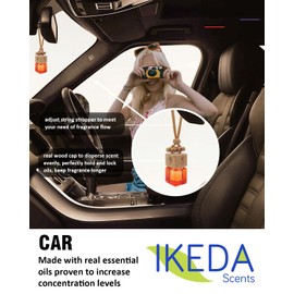 Ikeda scents Car Air Fresheners for Women | Car Fresheners with Odour Eliminator Technology | Long Fragrant Car Accessories for Men | Strong Car Scents Perfume Hanging Diffusers | Ikeda Air Freshener Car (Berry)