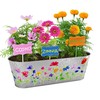 Dan&Darci Paint & Plant Flower Growing Kit for Kids -