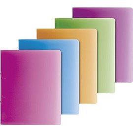 Fountain Presentation Ring Book Fact, 2 Ironing, Diameter 16 mm, A4, 255 x 318 mm, Sorted