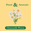 Tadin Chamomile Tea, Herbal Tea, Caffeine Free Tea, Tea Bags