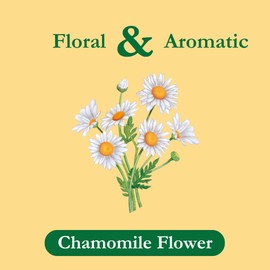 Tadin Chamomile Tea, Herbal Tea, Caffeine Free Tea, Tea Bags Individually Wrapped, 24 Tea Bags Per Box, Pack of 6