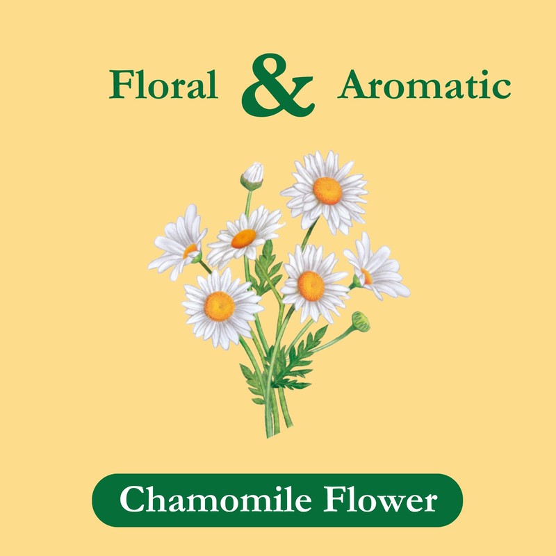 Tadin Chamomile Tea, Herbal Tea, Caffeine Free Tea, Tea Bags