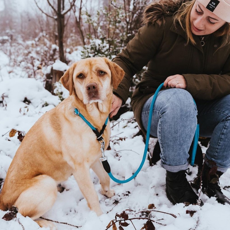 Hunter freestyle training collar