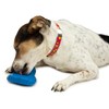 PetSafe Freezable Treat Holding Chilly Penguin - Durable, Vanilla-Scented, Rubber,