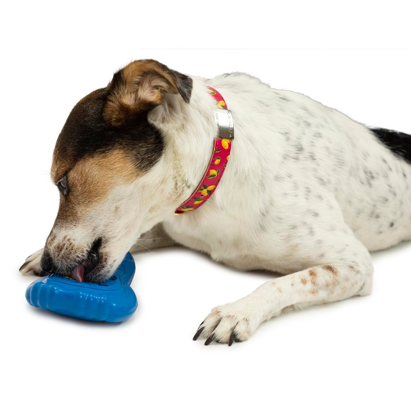 PetSafe Freezable Treat Holding Chilly Penguin - Durable, Vanilla-Scented, Rubber,