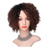 OEM Peluca Sintética Gris Rizada Afro Rizada Corta De 14 Pulgada