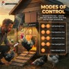 Automatic Chicken Coop Door Solar Powered with HD Screen, Timer