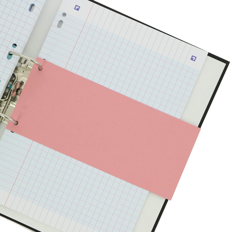 Limit Punched Cardboard Divider Strips 180gsm 5 Colours Pack of