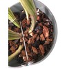 Orchid Nerd Galvanized Rhizome Clip for Plastic Pot (5 Inch
