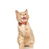 Bow Tie Cat Collar Bandana,2Pcs Breakaway Cat Collar with Bow