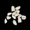 Angzhili 84 Pcs Dental Acrylic Resin Denture False Teeth 3