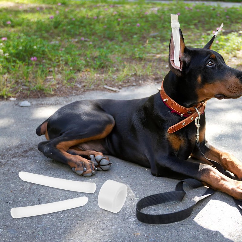 POPETPOP 10 pcs Doberman Dog Ear Posting Kit, Dog Ear