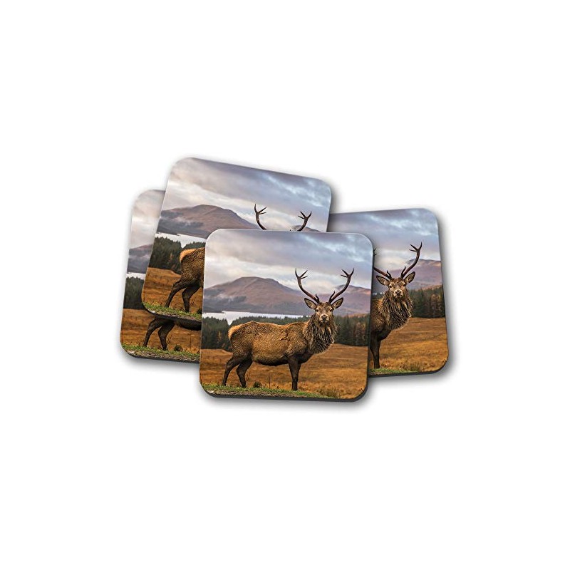 4 Set - Stag Coaster - Red Deer Scotland Men's