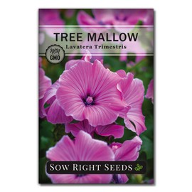 Sow Right Seeds - Tree Mallow Hibiscus Seeds to Plant - Full Instructions for Planting and Growing a Beautiful Flower Garden; Non-GMO Heirloom Seeds; Wonderful Gardening Gift (1)