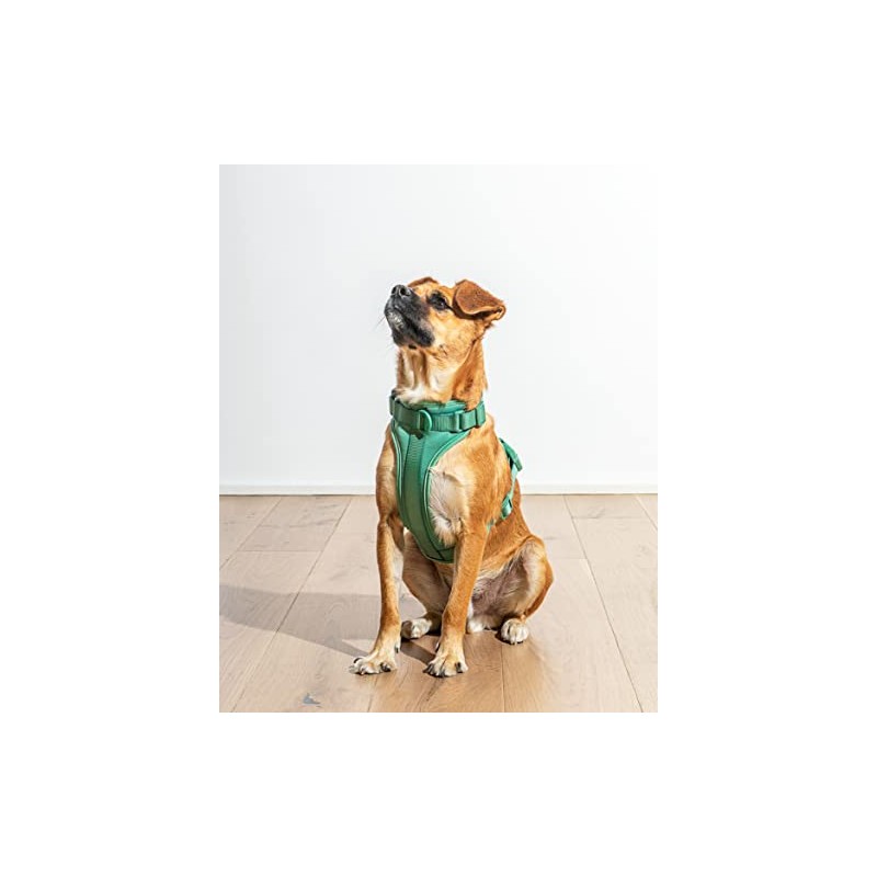 Wild One Harness 2.0 - Large - Spruce