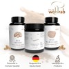 Pilze Wohlrab - Organic Chaga Mushroom Capsules - Chaga Extract
