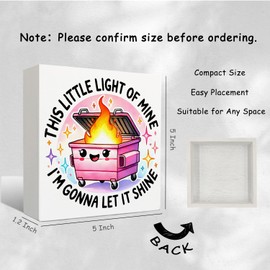 Nrleey Dumpster Inspirational wooden sign - Dumpster Gift, the Little Light of Mine wooden box signs, Motivational signs for Office decor, 12x16 Inch (3)