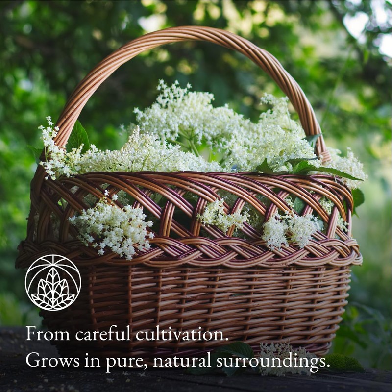 Elderflower Tea Monte Nativo (200 g) - 100% pure and